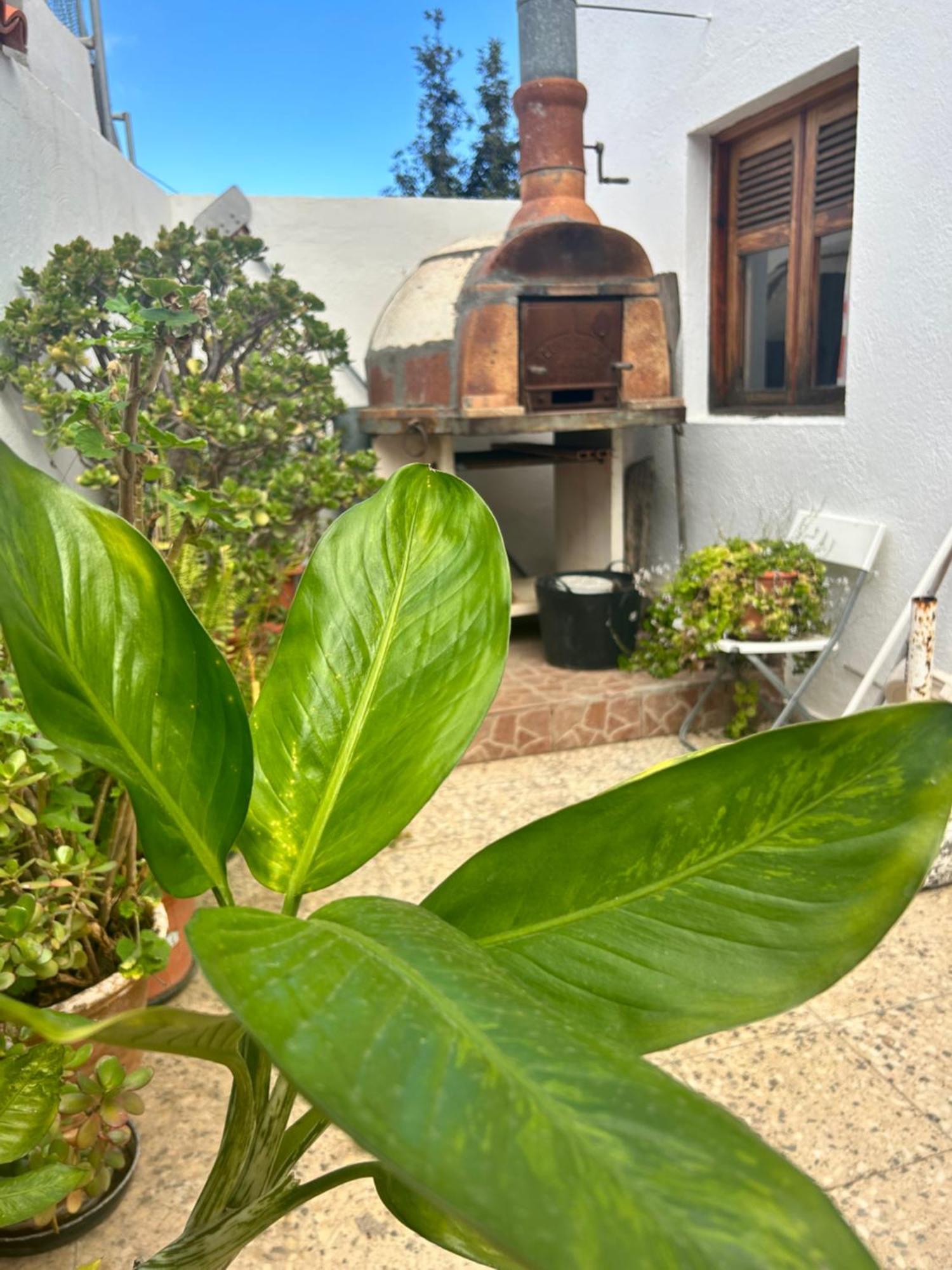 Casa Rural Teresita Entera Tranquila Llena De Bienestar Guimar Ngoại thất bức ảnh